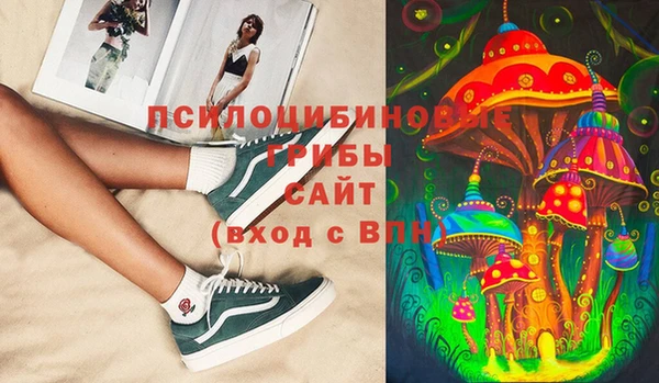 сатива Нефтекумск