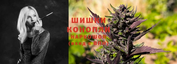 сатива Нефтекумск