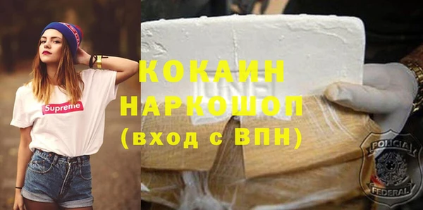 стаф Нея