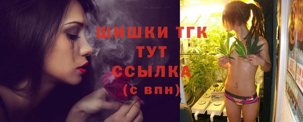 сатива Нефтекумск
