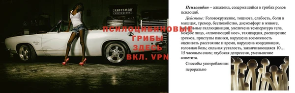 спайс Нефтегорск