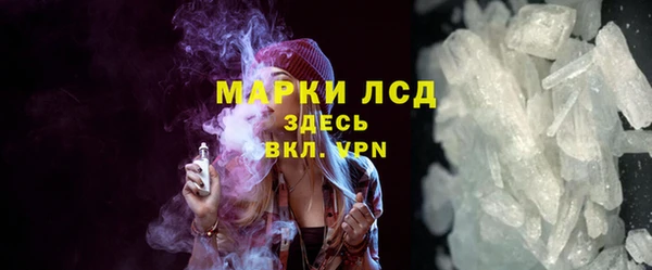 сатива Нефтекумск