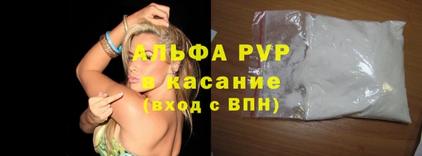 стаф Нея