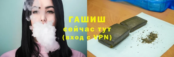 стаф Нея