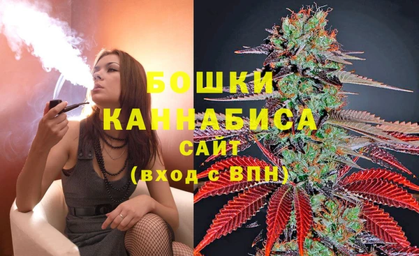 сатива Нефтекумск