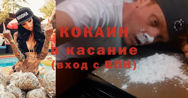 сатива Нефтекумск