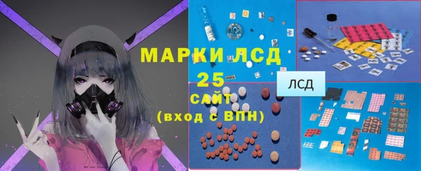 стаф Нея