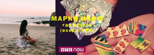 стаф Нея
